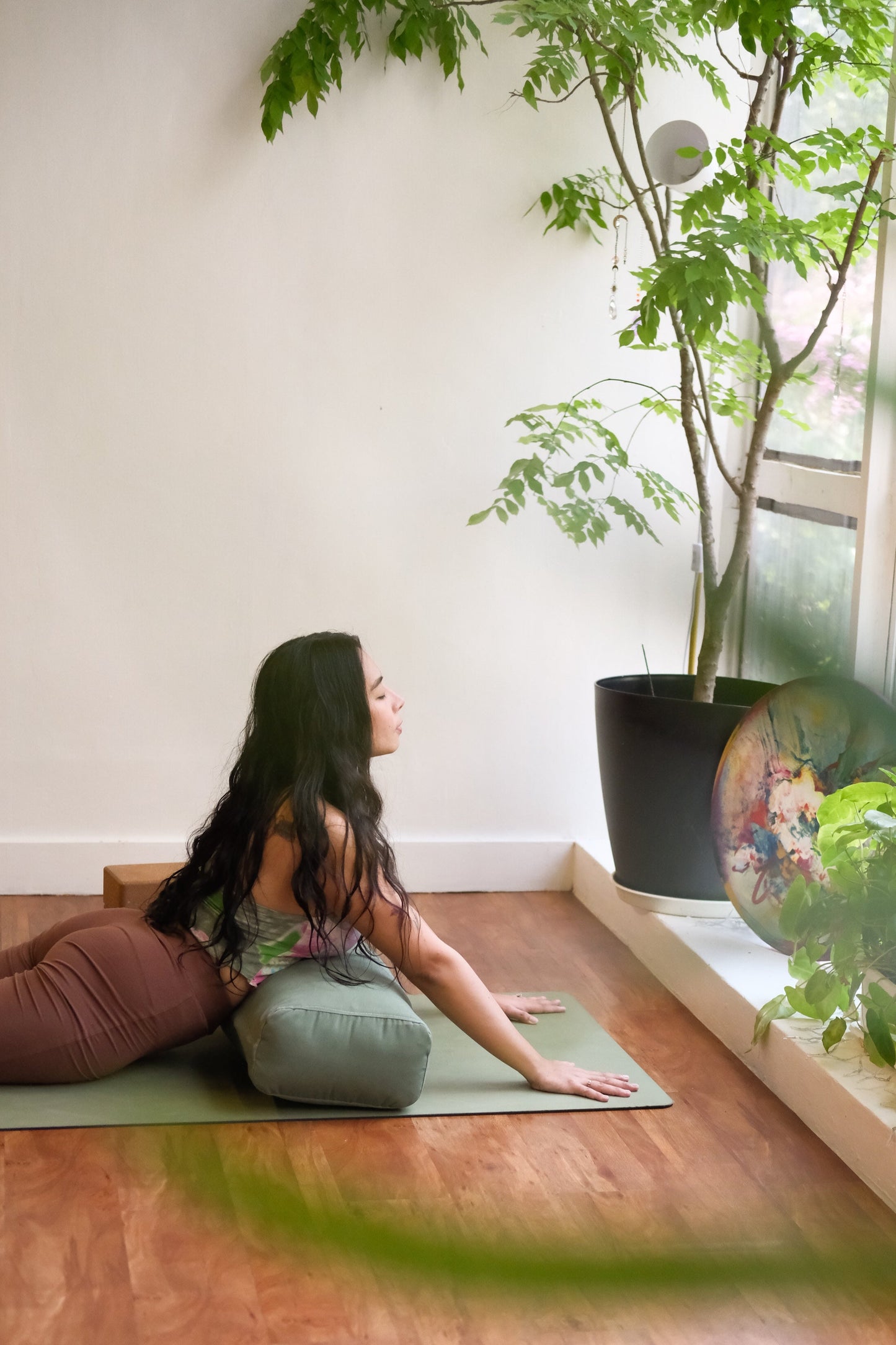 Hatha & Yin | Nov 8, Sat