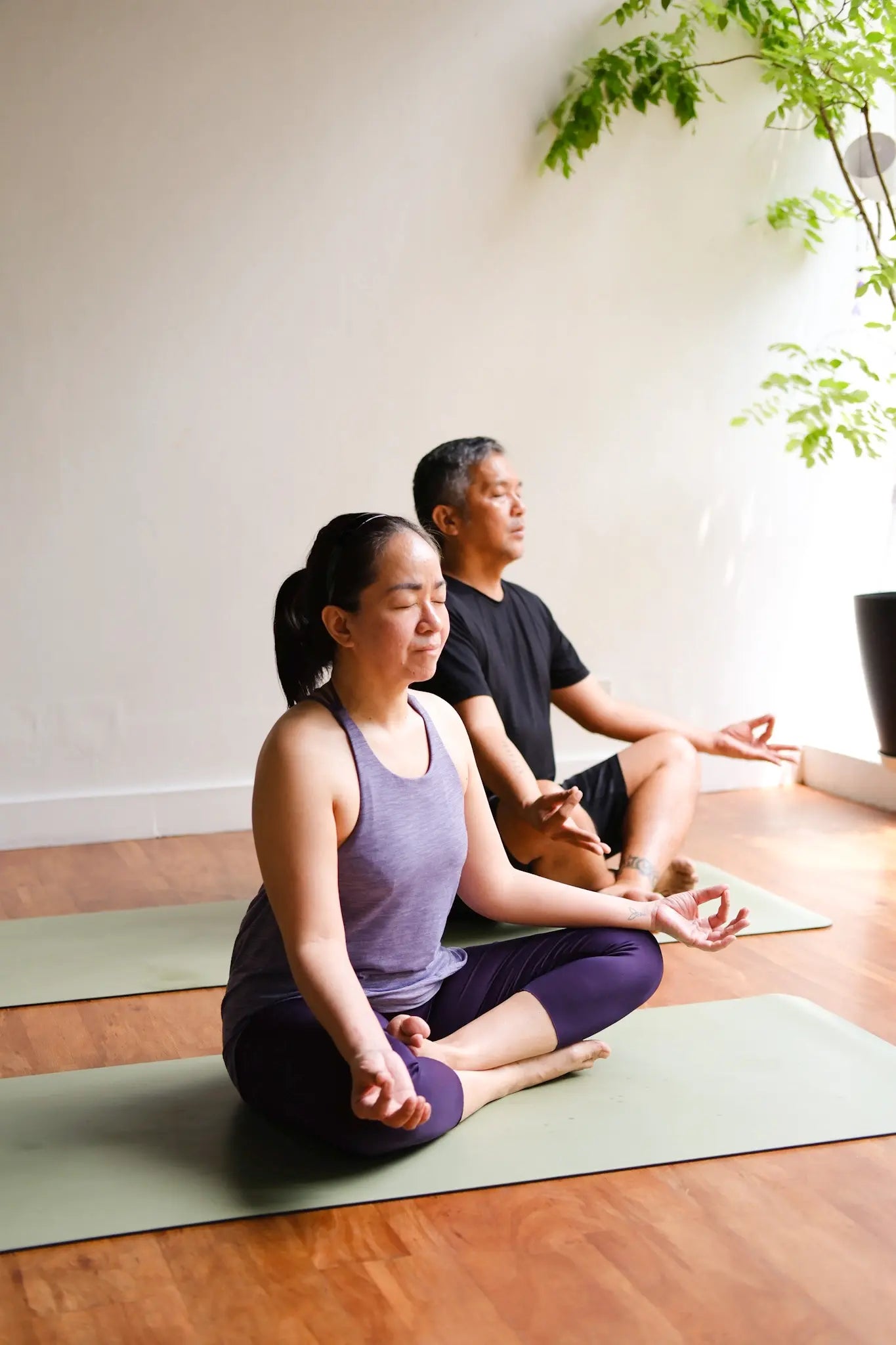 Hatha-Vinyasa | Apr 30, Wed