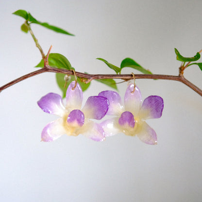 purple & white orchid preserved earrings