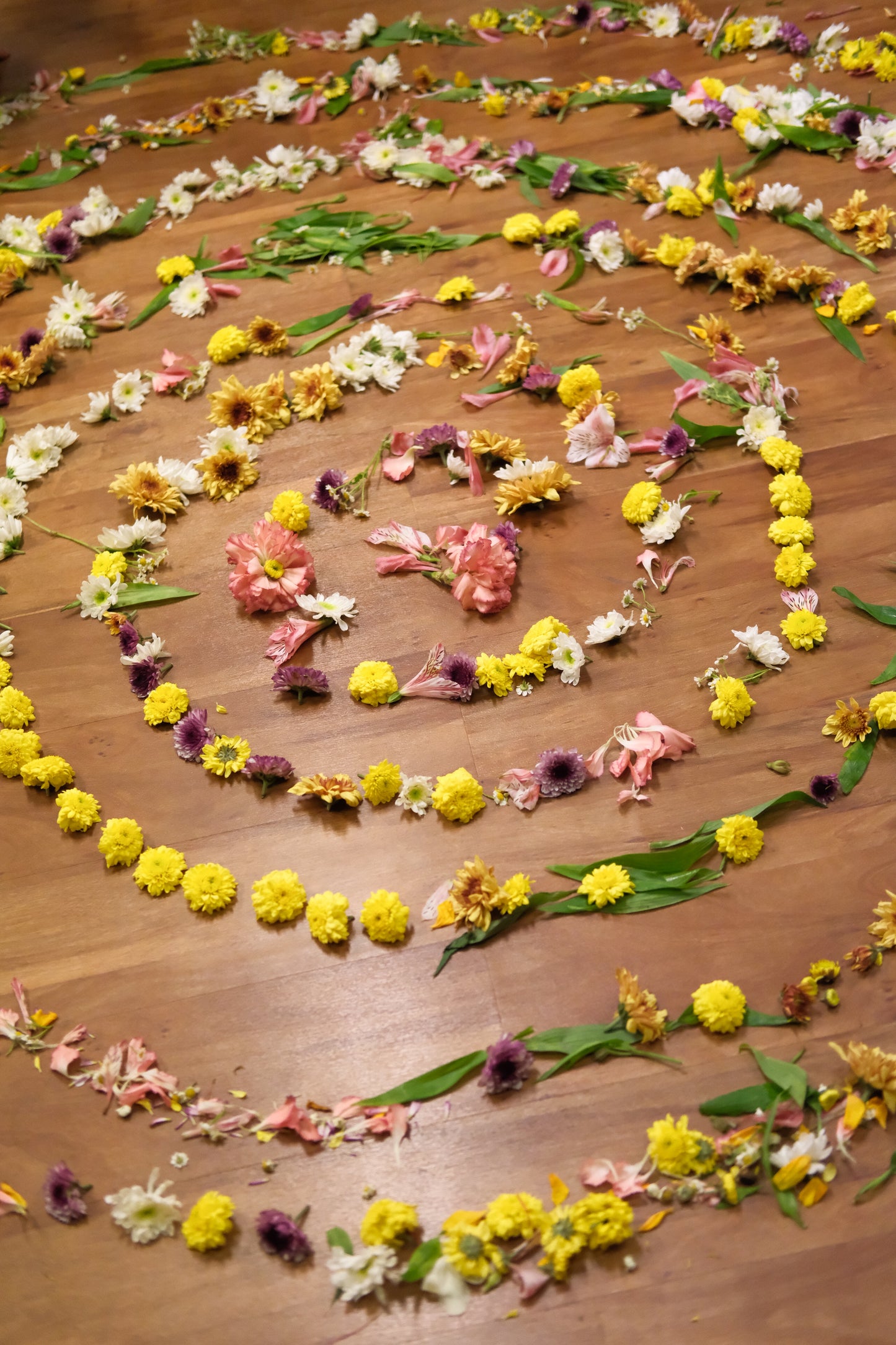 Private Creative Meditation