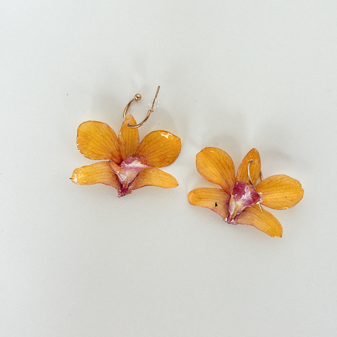 yellow orchid preserved earrings