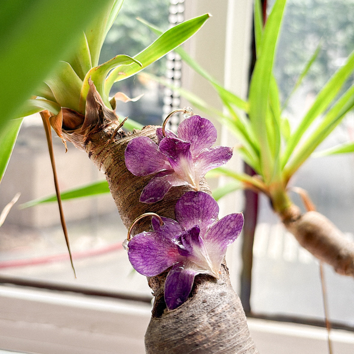 purple orchid preserved earrings