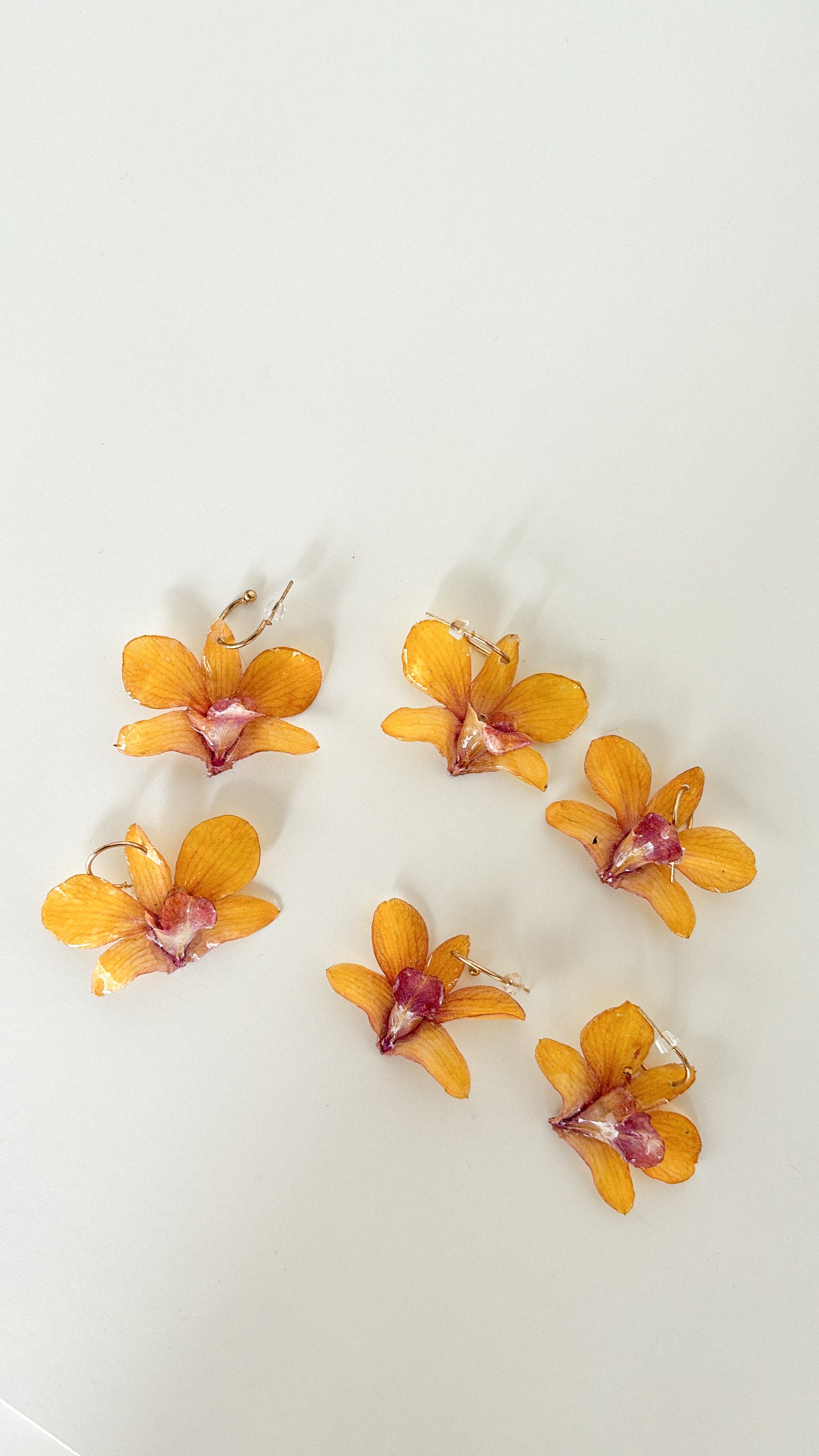 yellow orchid preserved earrings