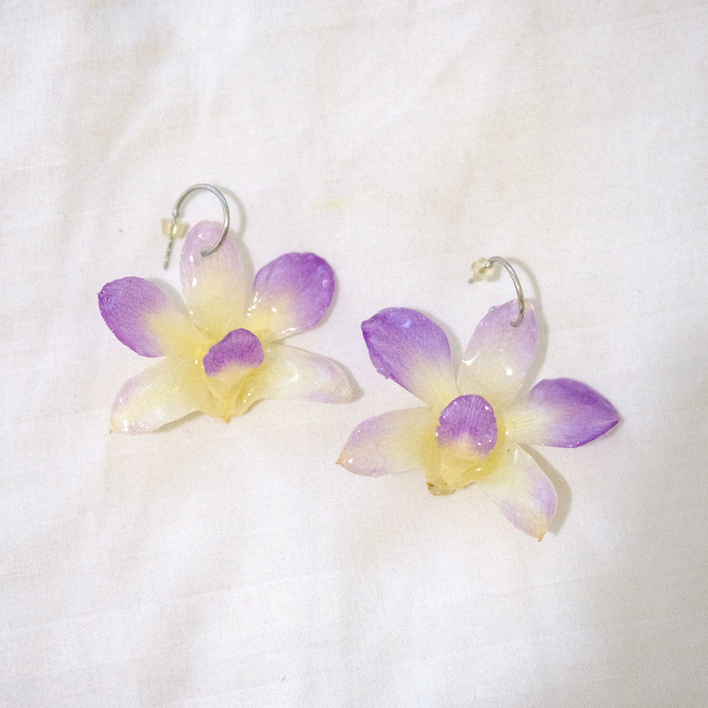 purple & white orchid preserved earrings